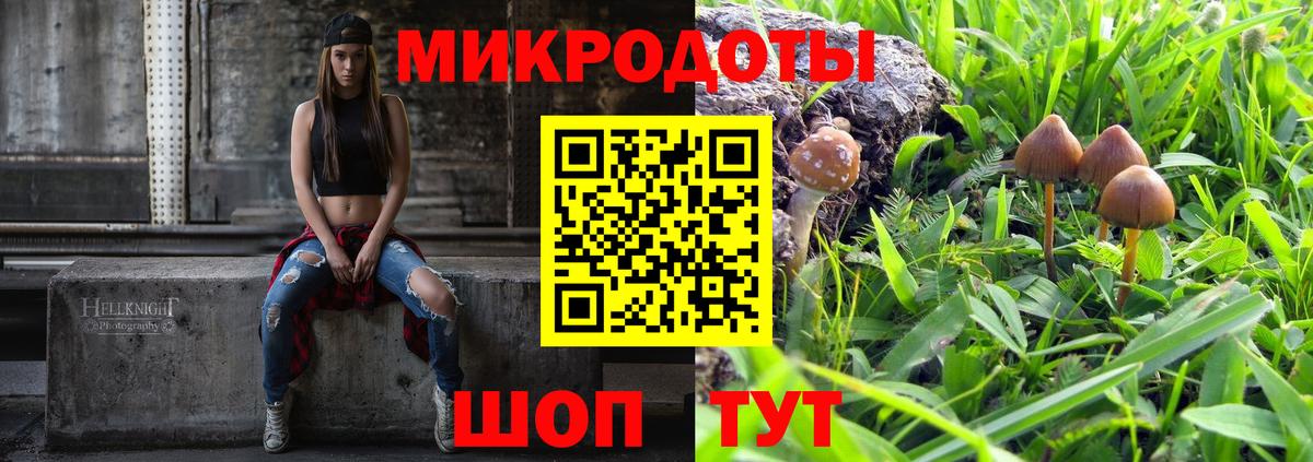 Галлюциногенные грибы Psilocybe Гулькевичи
